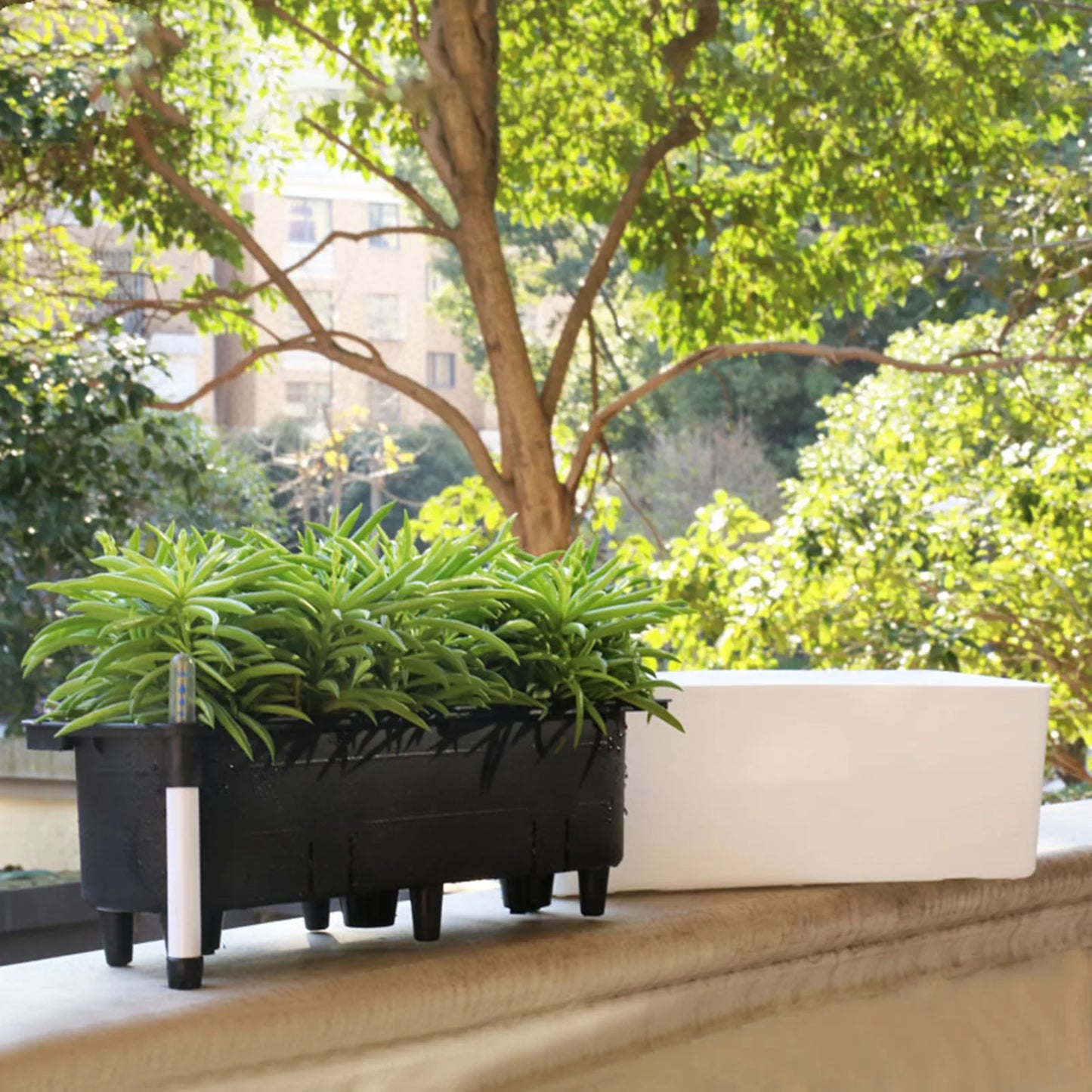 Self Watering Planter Flower Pot