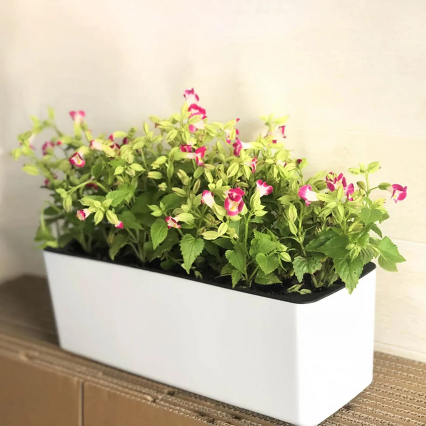 Self Watering Planter Flower Pot