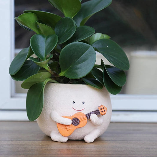 Smily Face Planter Pot With Drainage