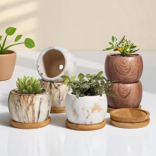 2Pcs Ceramic Water Transfer Succulent Flower Pots
