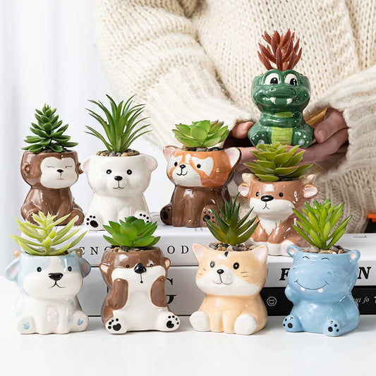 Cartoon Cute Fleshy Flowerpot Desktop Display Potted Container