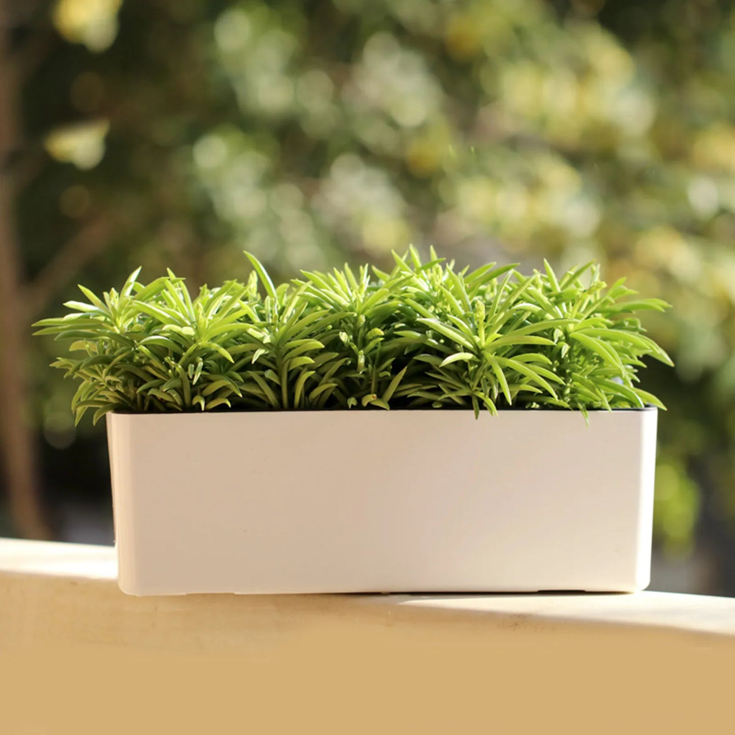 Self Watering Planter Flower Pot