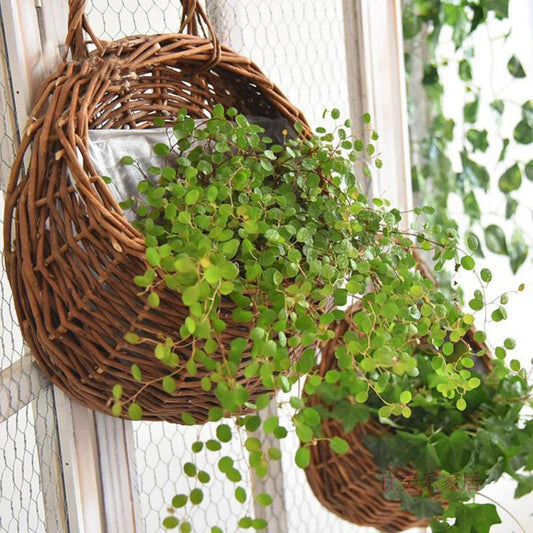 Hand Made Wicker Rattan Flower Planter Wall Hanging Wicker Rattam Basket
