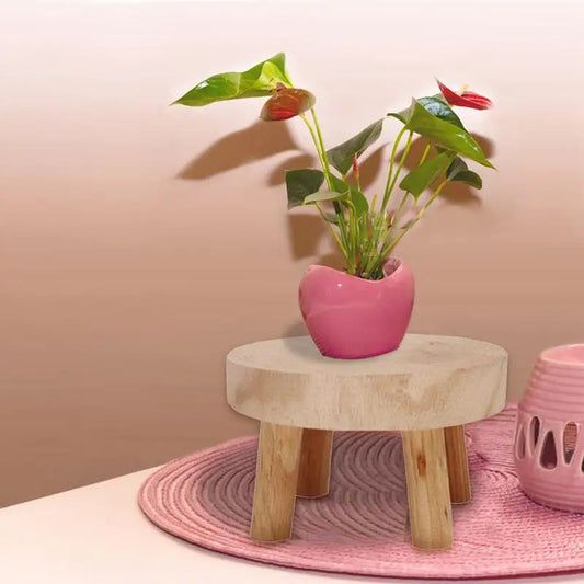 Wooden Plant Stand Flower Pot Base Holder