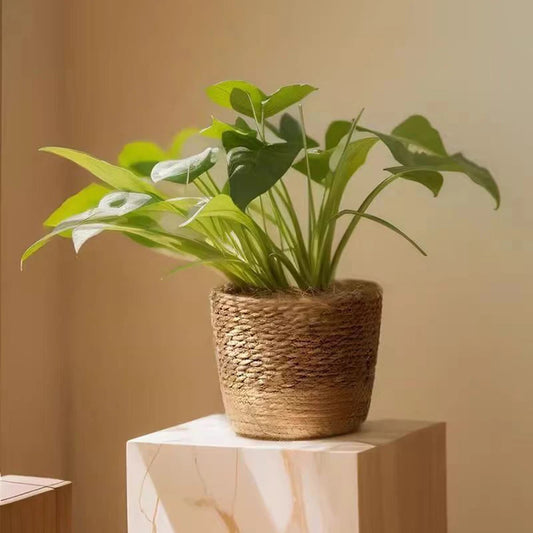 Multi Functional Storage Basket Seaweed Woven