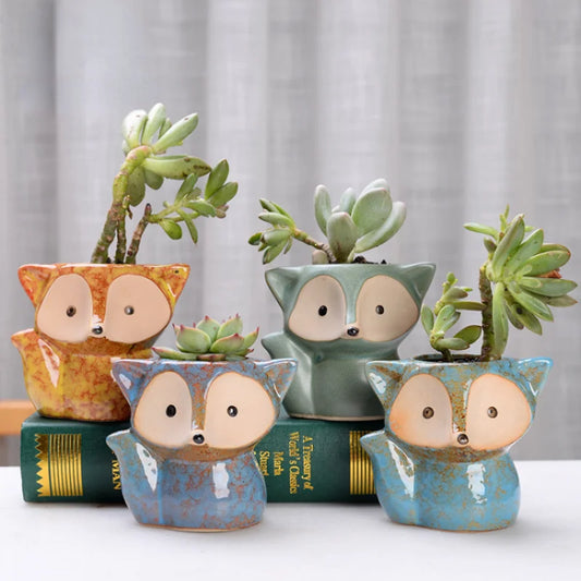 Cute Mini Potted Succulents Small Flower Pots