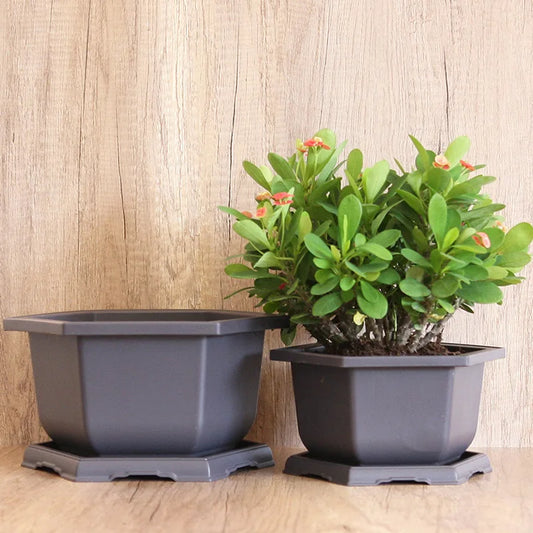 Flowerpots Plastic Plants Pots With Trays